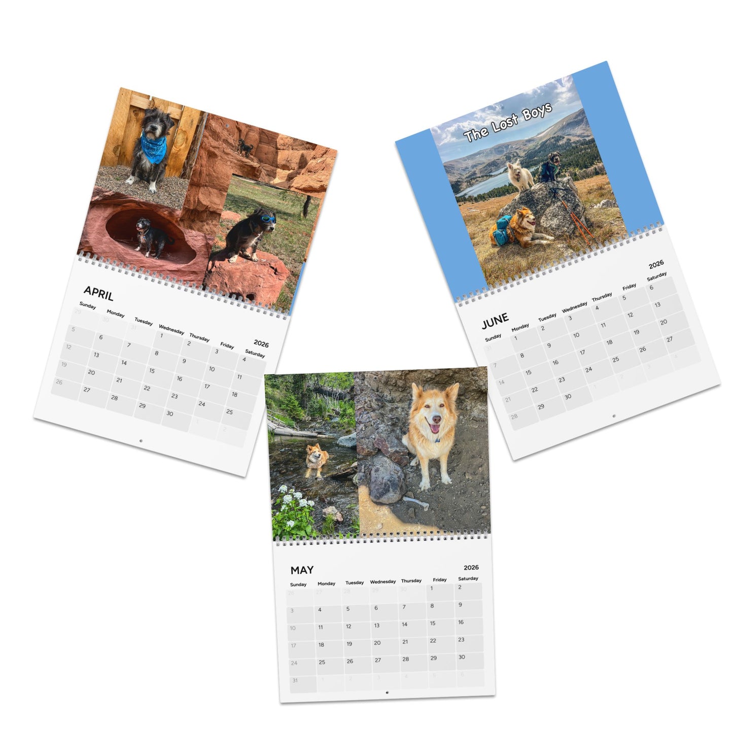 Scouts Trail Dogs Wall Calendar featuring  Adventures in the Western USA 2026
