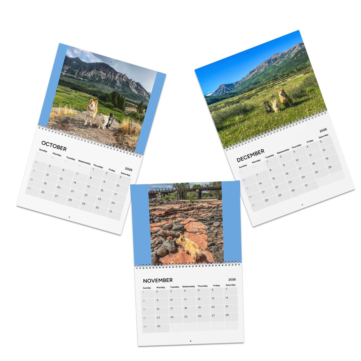 Scouts Trail Dogs Wall Calendar featuring  Adventures in the Western USA 2026