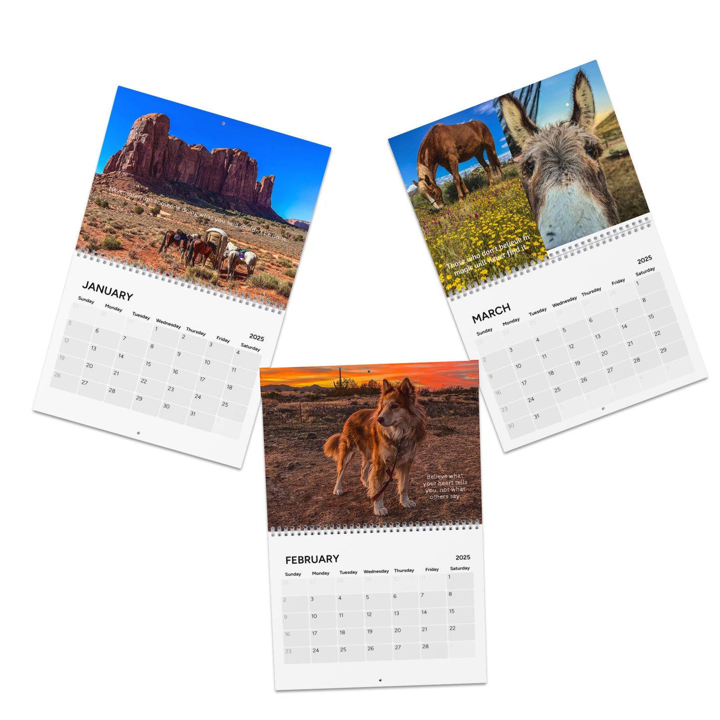 Scout's Trail Calendar (2025)